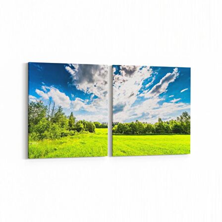 Olla 13863K2Y Doğa / Manzara Görseli Kare 2'li Yatay Kanvas Tablo (Ölçü: 85X40)