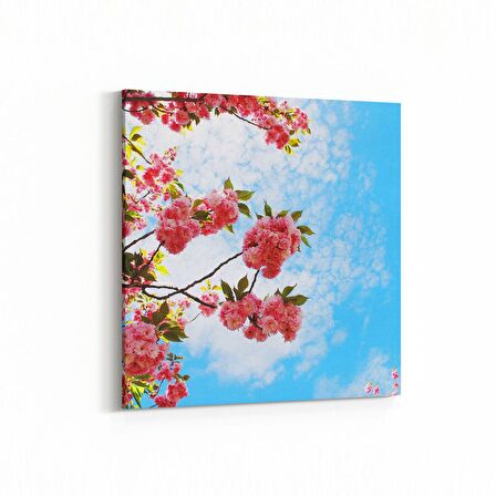 Olla 10468K Ağaç Görseli Kare Kanvas Tablo (Ölçü: 25X25)