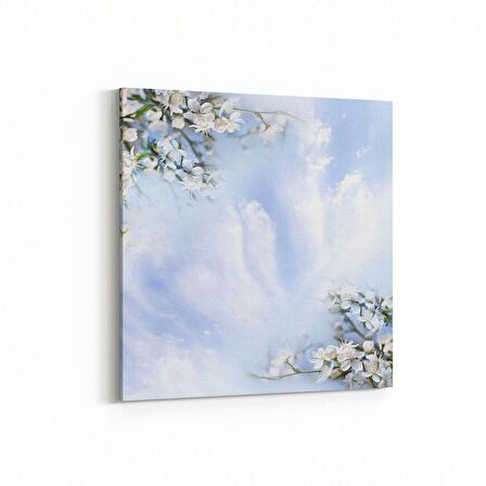 Olla 11659K Orkide Çiçek Görseli Kare Kanvas Tablo (Ölçü: 25X25)