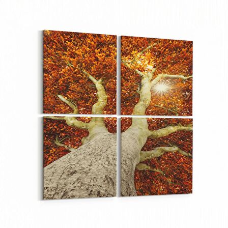 Olla 10600K4 Ağaç Görseli Kare 4'lü Kanvas Tablo (Ölçü: 65X65)