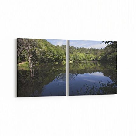Olla 14263K2Y Doğa / Manzara Görseli Kare 2'li Yatay Kanvas Tablo (Ölçü: 145X70)