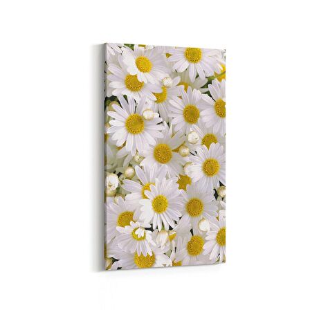 Olla 11634DD Çiçek Görseli Dikey Dar Kanvas Tablo (Ölçü: 40X80)