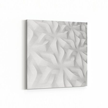 Olla 10455K Beyaz Kabartma Görseli Kare Kanvas Tablo (Ölçü: 100X100)