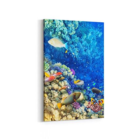 Olla 12126D Akvaryum / Balık Görseli Dikey Kanvas Tablo (Ölçü: 100X150)