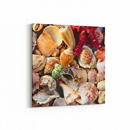 Olla 12937K Deniz / Okyanus Görseli Kare Kanvas Tablo (Ölçü: 30X30)