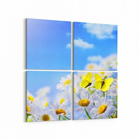 Olla 11677K4 Orkide Çiçek Görseli Kare 4'lü Kanvas Tablo (Ölçü: 65X65)