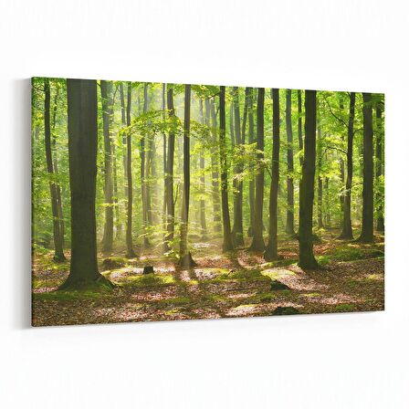 Olla 13593Y Doğa / Manzara Görseli Yatay Kanvas Tablo (Ölçü: 90X60)