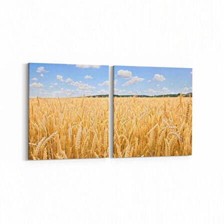 Olla 14284K2Y Doğa / Manzara Görseli Kare 2'li Yatay Kanvas Tablo (Ölçü: 145X70)