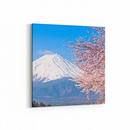 Olla 13606K Doğa / Manzara Görseli Kare Kanvas Tablo (Ölçü: 40X40)