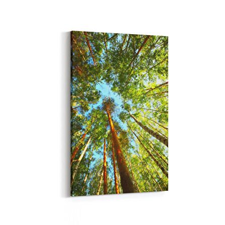 Olla 11032D Ağaç Görseli Dikey Kanvas Tablo (Ölçü: 100X150)