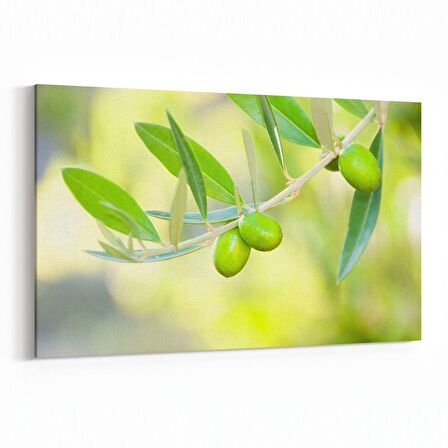 Olla 15115Y Gıda Görseli Yatay Kanvas Tablo (Ölçü: 45X30)