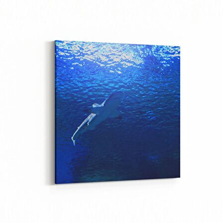 Olla 13004K Deniz / Okyanus Görseli Kare Kanvas Tablo (Ölçü: 25X25)