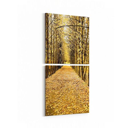 Olla 14021K2D Doğa / Manzara Görseli Kare 2'li Dikey Kanvas Tablo (Ölçü: 30X65)