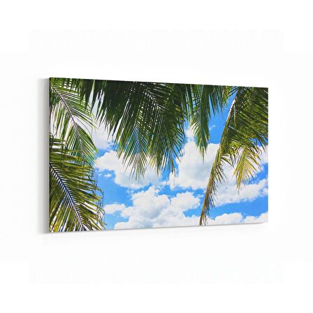 Olla 11492Y Palmiye Ağacı Görseli Yatay Kanvas Tablo (Ölçü: 45X30)