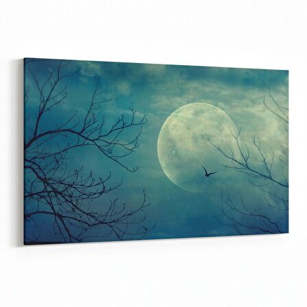 Olla 14707Y Gece Gökyüzü Görseli Yatay Kanvas Tablo (Ölçü: 45X30)