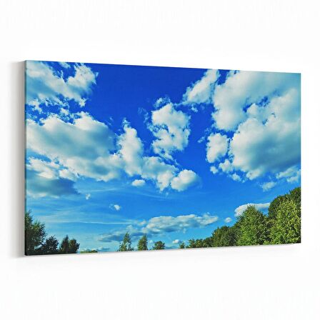 Olla 14448Y Doğa / Manzara Görseli Yatay Kanvas Tablo (Ölçü: 150X100)