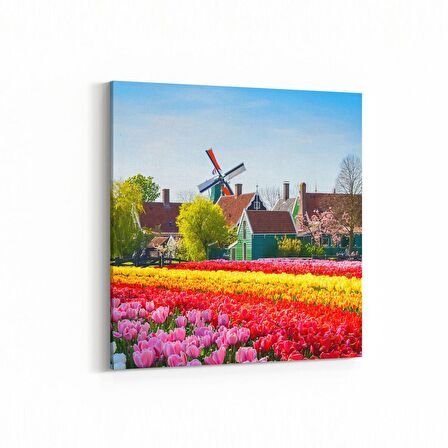 Olla 18644K Yapı Görseli Kare Kanvas Tablo (Ölçü: 30X30)