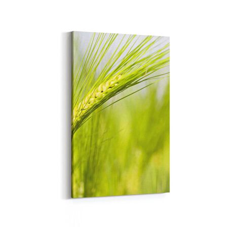 Olla 14329D Doğa / Manzara Görseli Dikey Kanvas Tablo (Ölçü: 60X90)