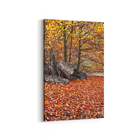 Olla 13279D Doğa / Manzara Görseli Dikey Kanvas Tablo (Ölçü: 60X90)