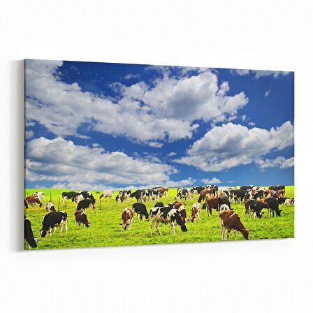 Olla 12612Y Hayvanlar Alemi Görseli Yatay Kanvas Tablo (Ölçü: 150X100)