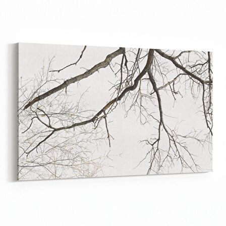 Olla 10691Y Ağaç Görseli Yatay Kanvas Tablo (Ölçü: 150X100)