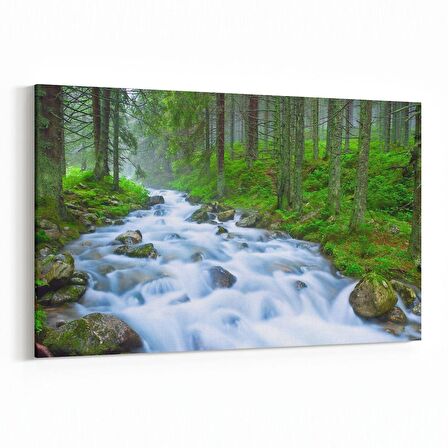 Olla 14315Y Doğa / Manzara Görseli Yatay Kanvas Tablo (Ölçü: 70X50)