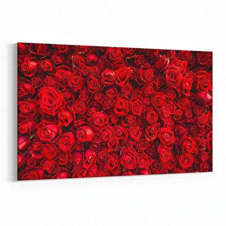 Olla 11603Y Çiçek Görseli Yatay Kanvas Tablo (Ölçü: 150X100)