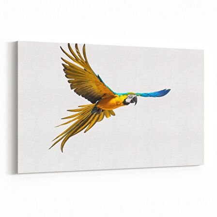 Olla 12557Y Hayvanlar Alemi Görseli Yatay Kanvas Tablo (Ölçü: 150X100)