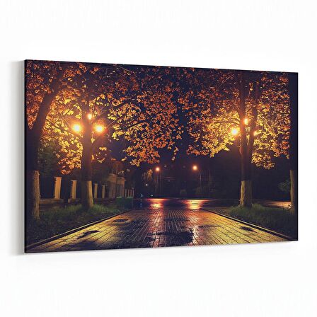 Olla 13843Y Doğa / Manzara Görseli Yatay Kanvas Tablo (Ölçü: 90X60)