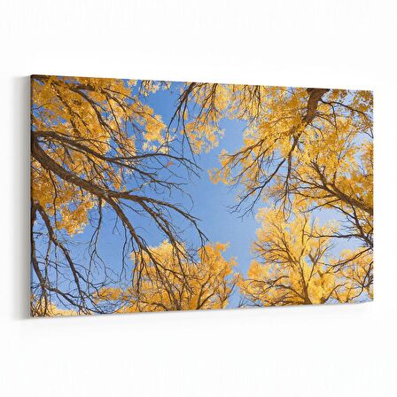Olla 10981Y Ağaç Görseli Yatay Kanvas Tablo (Ölçü: 30X20)