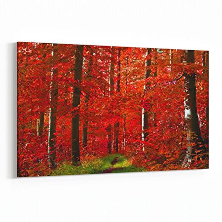 Olla 14592Y Doğa / Manzara Görseli Yatay Kanvas Tablo (Ölçü: 90X60)