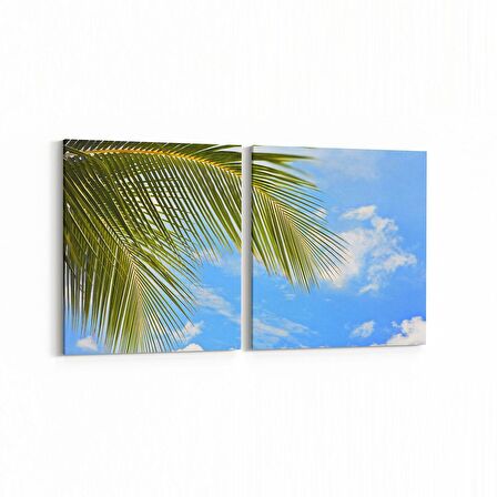 Olla 11494K2Y Palmiye Ağacı Görseli Kare 2'li Yatay Kanvas Tablo (Ölçü: 65X30)