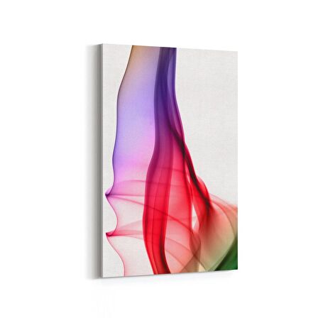 Olla 10170D Abstract Görsel Dikey Kanvas Tablo (Ölçü: 100X150)