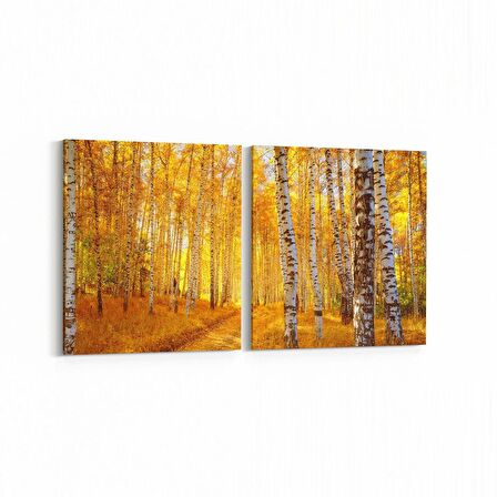 Olla 14572K2Y Doğa / Manzara Görseli Kare 2'li Yatay Kanvas Tablo (Ölçü: 105X50)