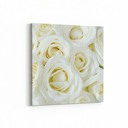 Olla 11646K Çiçek Görseli Kare Kanvas Tablo (Ölçü: 25X25)