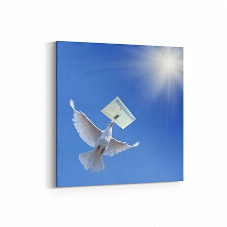 Olla 15877K Gökyüzü Kuşlar Görseli Kare Kanvas Tablo (Ölçü: 25X25)