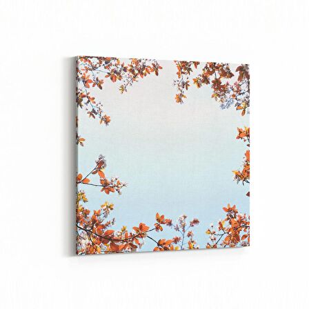 Olla 10611K Ağaç Görseli Kare Kanvas Tablo (Ölçü: 60X60)