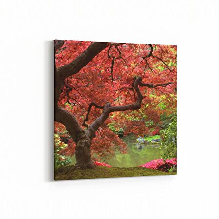 Olla 14222K Doğa / Manzara Görseli Kare Kanvas Tablo (Ölçü: 30X30)