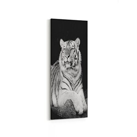 Olla 12533DI Hayvanlar Alemi Görseli Dikey İnce Kanvas Tablo (Ölçü: 40X120)