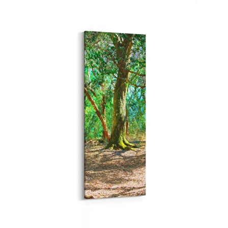 Olla 13679DI Doğa / Manzara Görseli Dikey İnce Kanvas Tablo (Ölçü: 40X120)