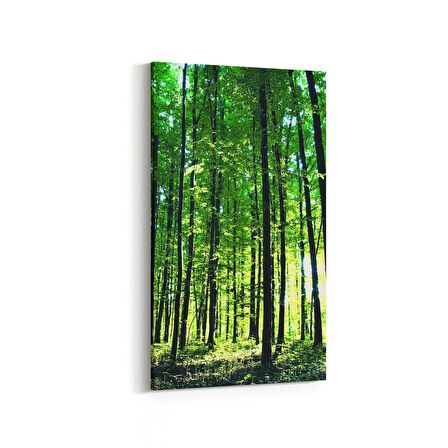 Olla 13364DD Doğa / Manzara Görseli Dikey Dar Kanvas Tablo (Ölçü: 60X120)