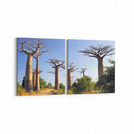 Olla 14018K2Y Doğa / Manzara Görseli Kare 2'li Yatay Kanvas Tablo (Ölçü: 125X60)