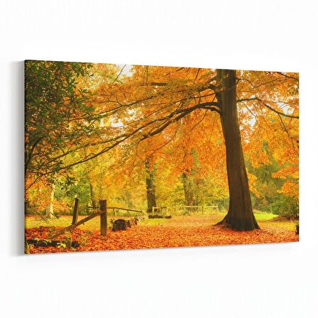 Olla 14331Y Doğa / Manzara Görseli Yatay Kanvas Tablo (Ölçü: 45X30)