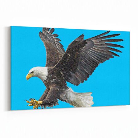 Olla 12606Y Hayvanlar Alemi Görseli Yatay Kanvas Tablo (Ölçü: 30X20)