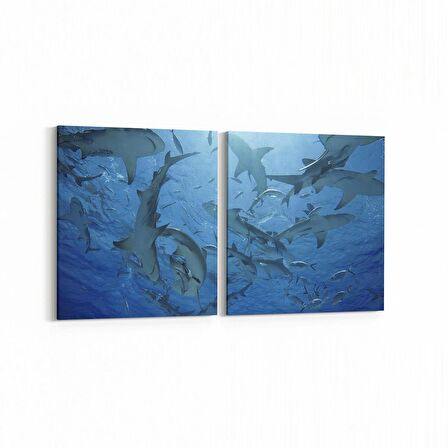 Olla 12936K2Y Deniz / Okyanus Görseli Kare 2'li Yatay Kanvas Tablo (Ölçü: 145X70)
