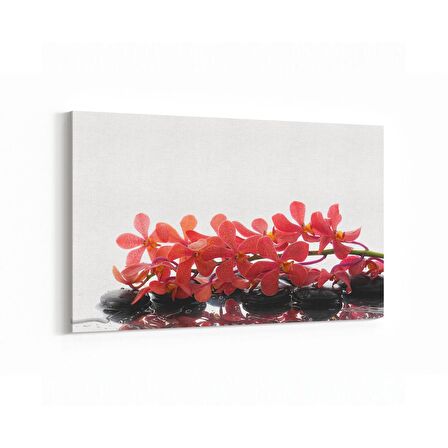 Olla 17067Y Spa / Masaj Görseli Yatay Kanvas Tablo (Ölçü: 45X30)