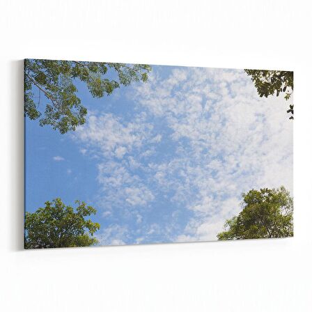 Olla 11012Y Ağaç Görseli Yatay Kanvas Tablo (Ölçü: 45X30)