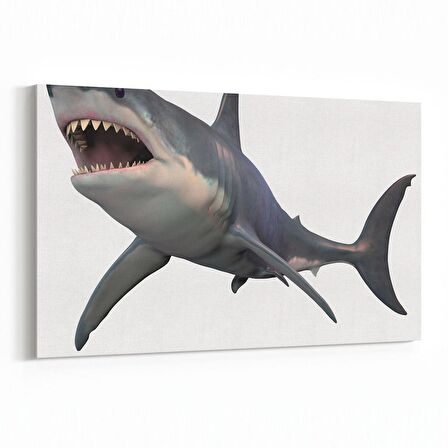 Olla 12611Y Hayvanlar Alemi Görseli Yatay Kanvas Tablo (Ölçü: 70X50)