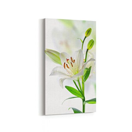 Olla 10974DD Ağaç Görseli Dikey Dar Kanvas Tablo (Ölçü: 30X60)