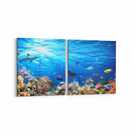 Olla 12062K2Y Akvaryum / Balık Görseli Kare 2'li Yatay Kanvas Tablo (Ölçü: 65X30)